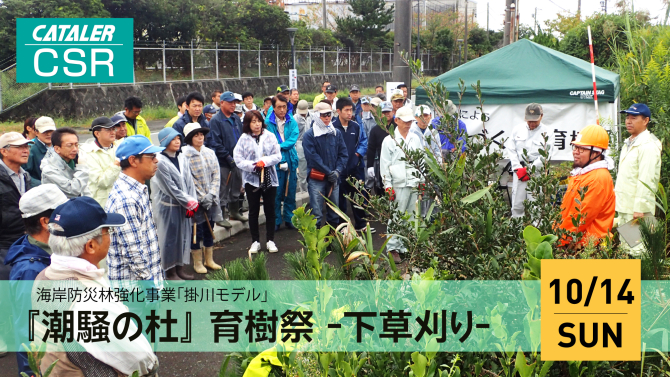 海岸防災林づくりにための育樹会（潮騒の杜 育樹祭）に参加しました