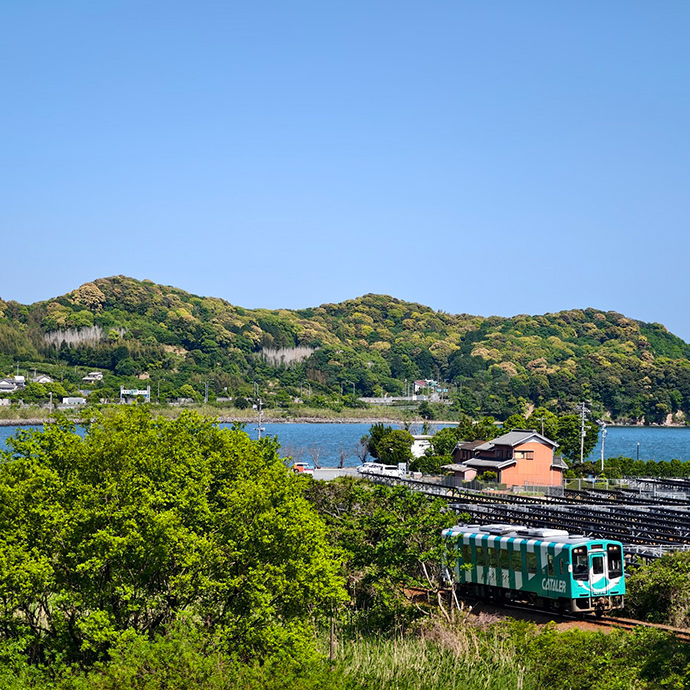 #私のキャタライナー