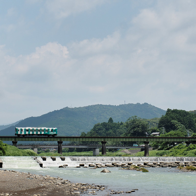 #私のキャタライナー