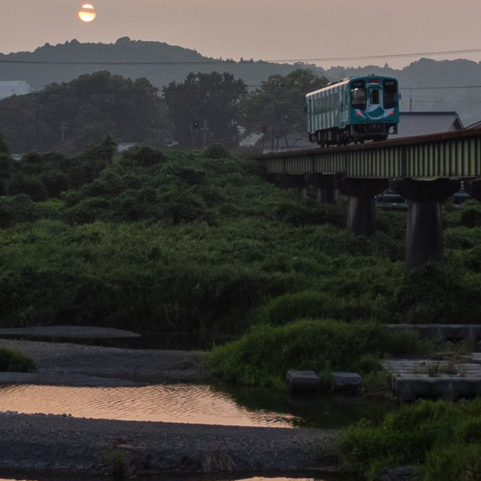 #私のキャタライナー