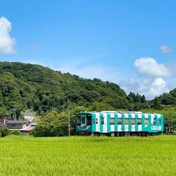 #私のキャタライナー