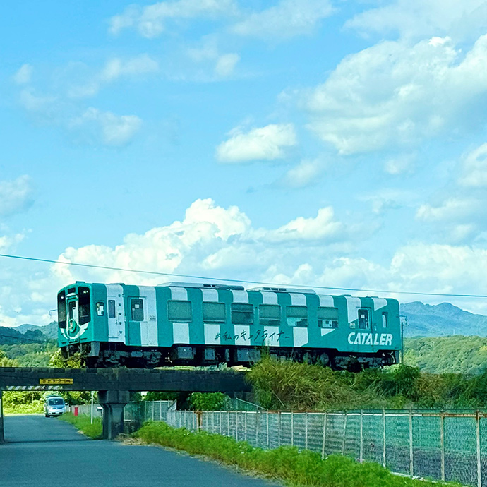 #私のキャタライナー